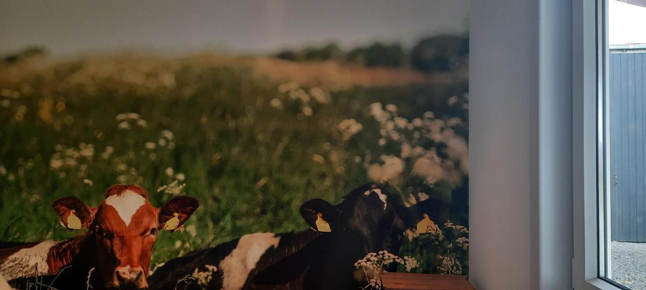 فيلا La Vache Au Lit دام المظهر الخارجي الصورة