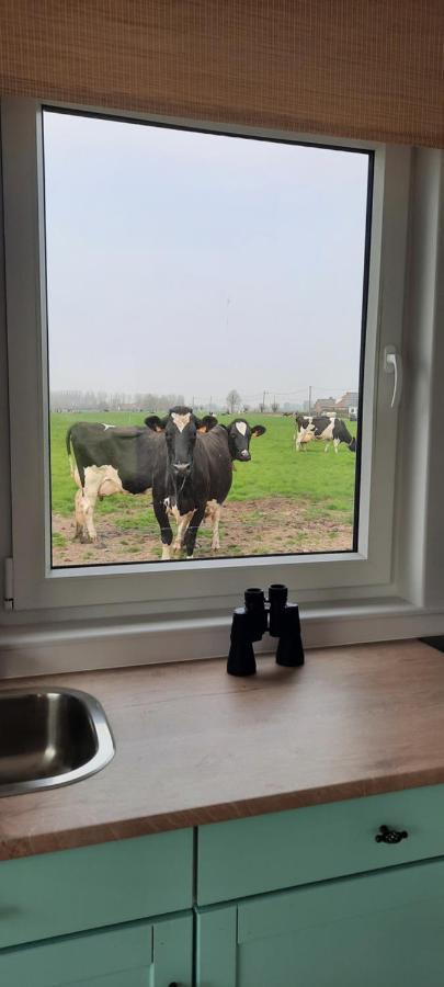 فيلا La Vache Au Lit دام المظهر الخارجي الصورة