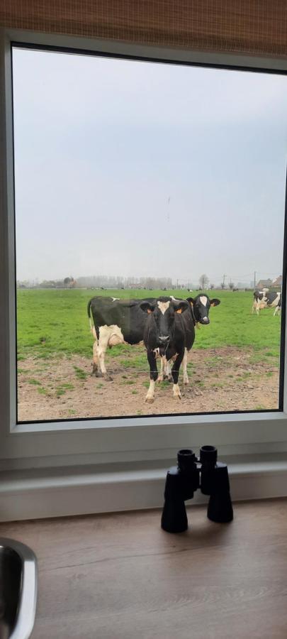 فيلا La Vache Au Lit دام المظهر الخارجي الصورة